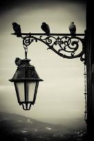 Guiding lamp